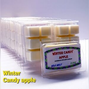 WINTER CANDY APPLE -Bath & Body Works Candle Wax Melts- $8 per pack